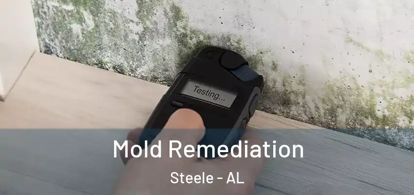 Mold Remediation Steele - AL