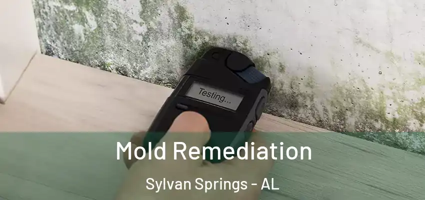  Mold Remediation Sylvan Springs - AL