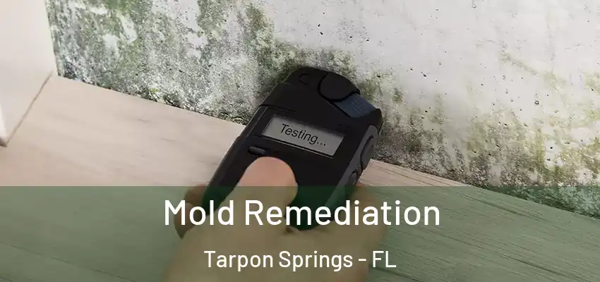  Mold Remediation Tarpon Springs - FL