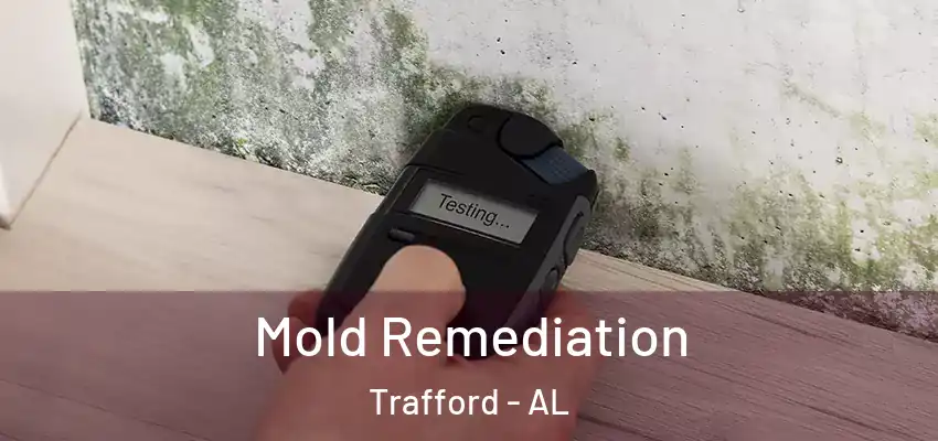 Mold Remediation Trafford - AL
