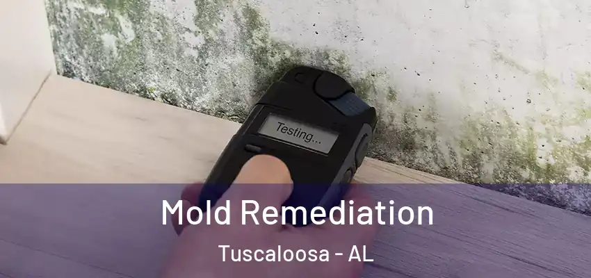  Mold Remediation Tuscaloosa - AL