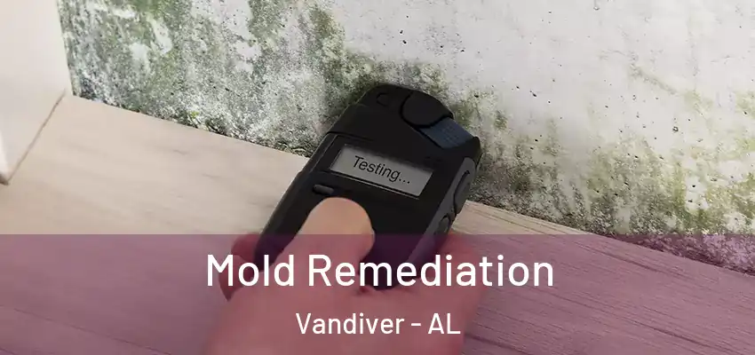 Mold Remediation Vandiver - AL