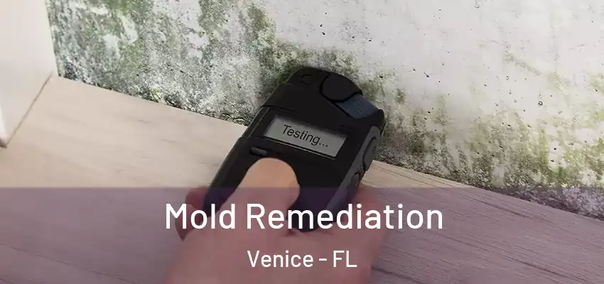 Mold Remediation Venice - FL
