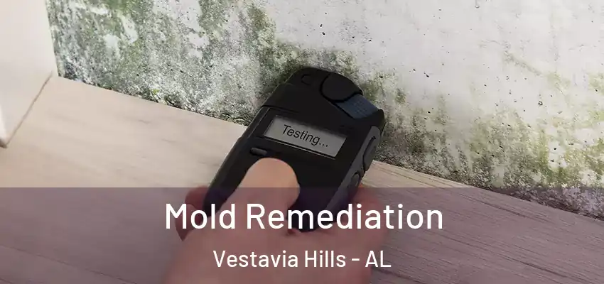Mold Remediation Vestavia Hills - AL