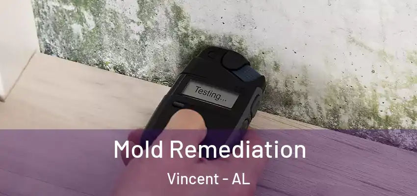 Mold Remediation Vincent - AL