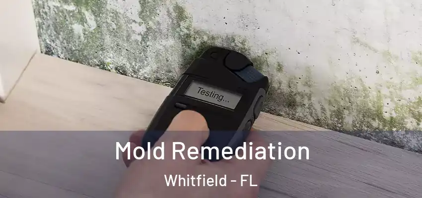 Mold Remediation Whitfield - FL