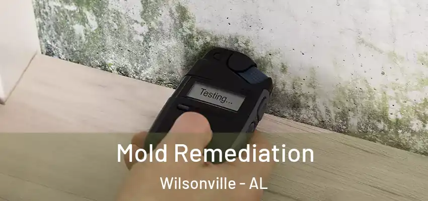 Mold Remediation Wilsonville - AL