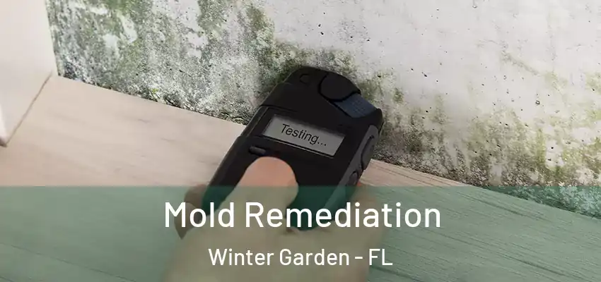 Mold Remediation Winter Garden - FL