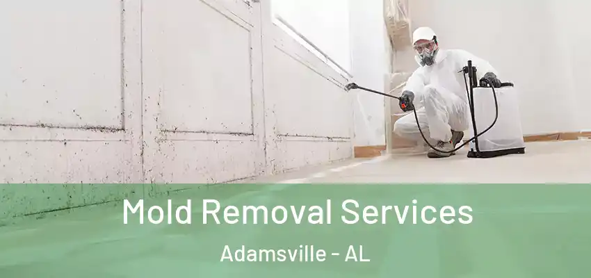 Mold Removal Services Adamsville - AL