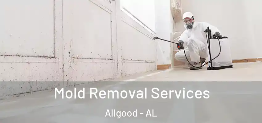 Mold Removal Services Allgood - AL