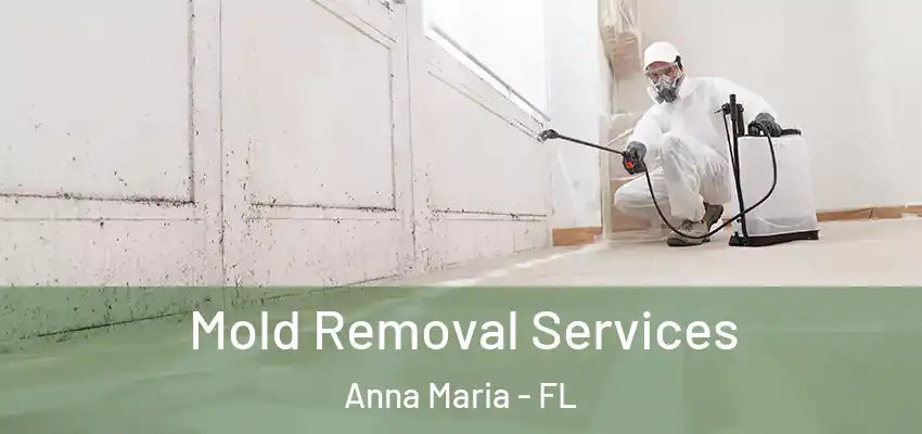Mold Removal Services Anna Maria - FL