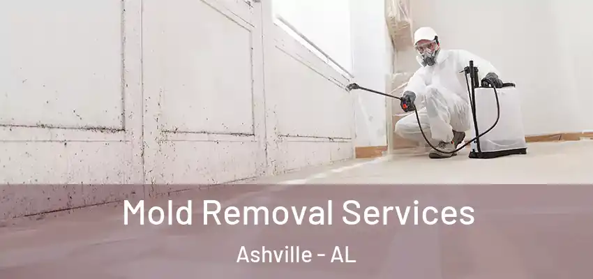 Mold Removal Services Ashville - AL