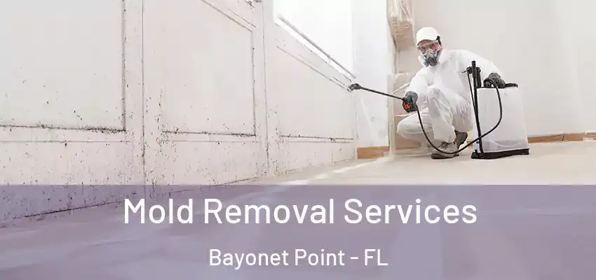  Mold Removal Services Bayonet Point - FL
