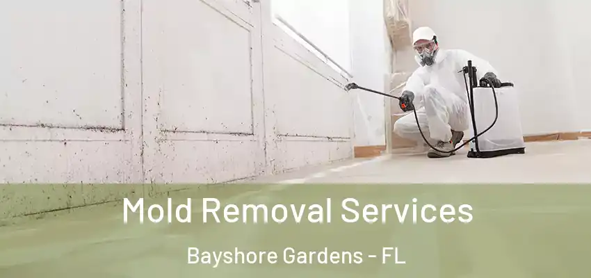 Mold Removal Services Bayshore Gardens - FL