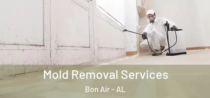 Mold Removal Services Bon Air - AL