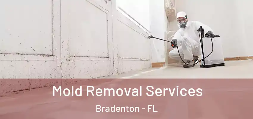 Mold Removal Services Bradenton - FL