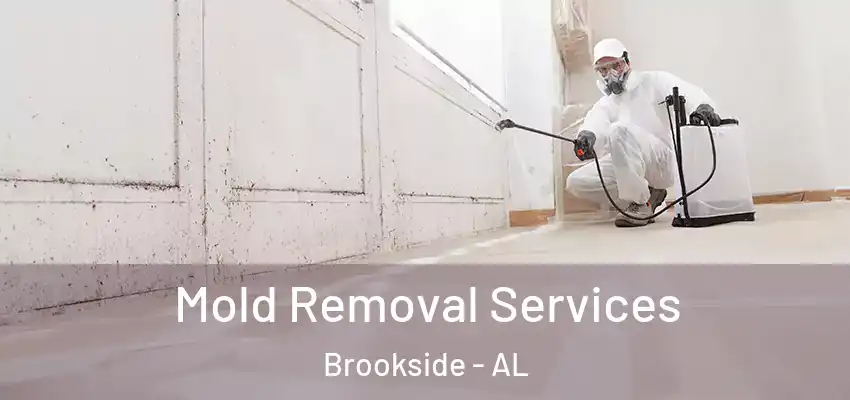 Mold Removal Services Brookside - AL