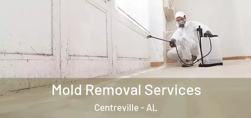  Mold Removal Services Centreville - AL