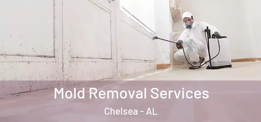  Mold Removal Services Chelsea - AL