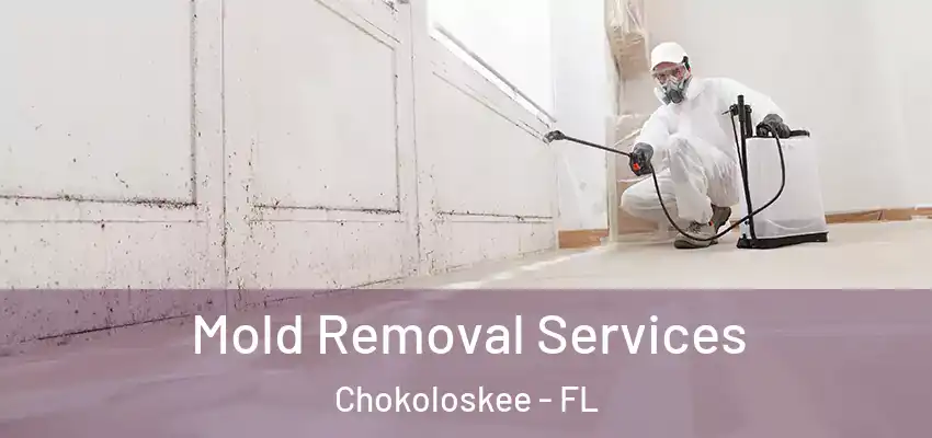  Mold Removal Services Chokoloskee - FL
