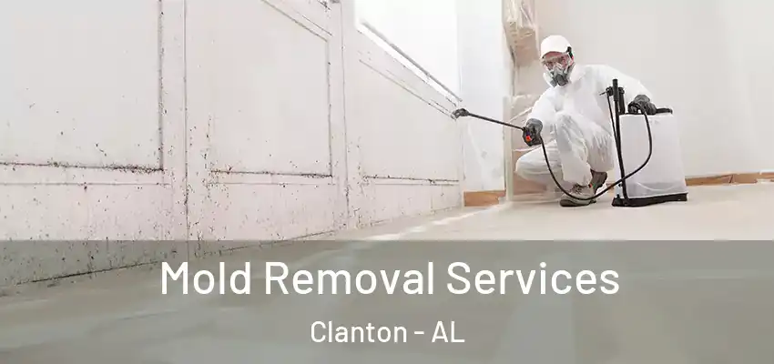 Mold Removal Services Clanton - AL