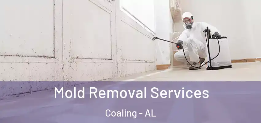  Mold Removal Services Coaling - AL
