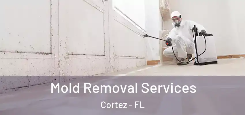  Mold Removal Services Cortez - FL