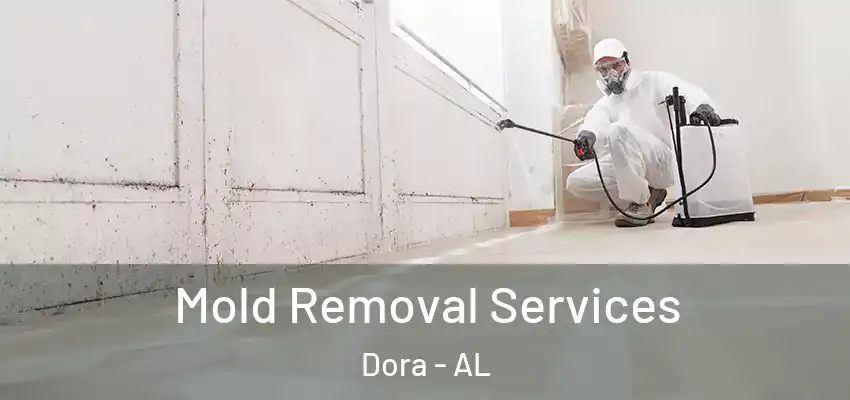 Mold Removal Services Dora - AL