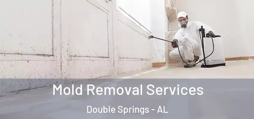  Mold Removal Services Double Springs - AL