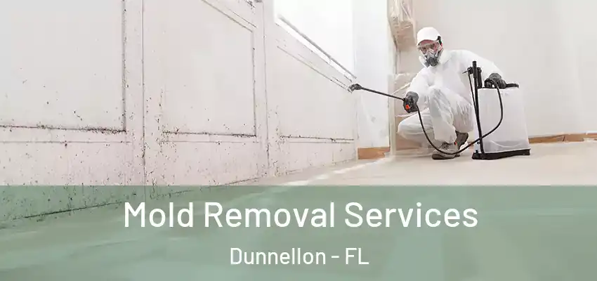 Mold Removal Services Dunnellon - FL