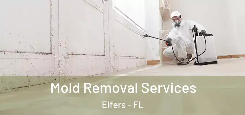  Mold Removal Services Elfers - FL