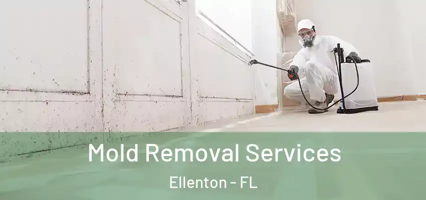 Mold Removal Services Ellenton - FL