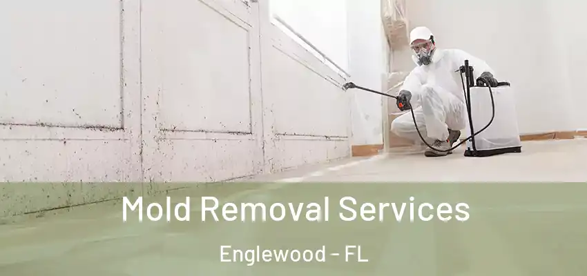 Mold Removal Services Englewood - FL