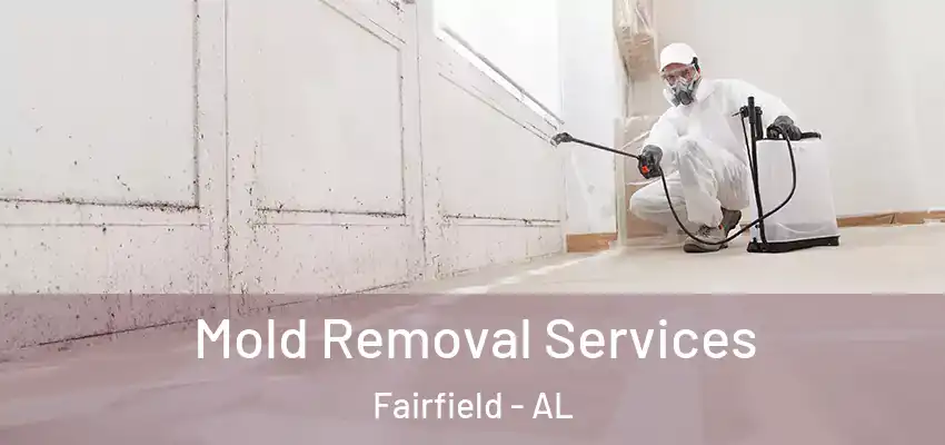  Mold Removal Services Fairfield - AL