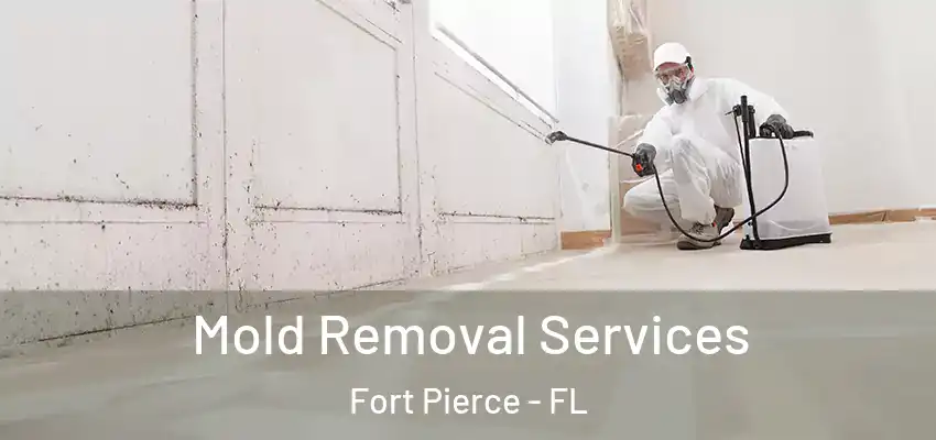 Mold Removal Services Fort Pierce - FL