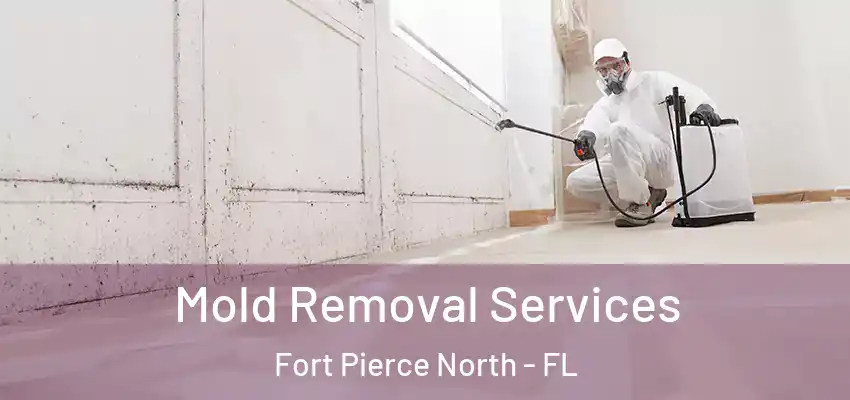 Mold Removal Services Fort Pierce North - FL