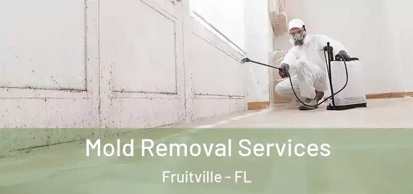 Mold Removal Services Fruitville - FL