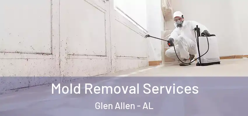  Mold Removal Services Glen Allen - AL
