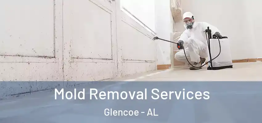 Mold Removal Services Glencoe - AL