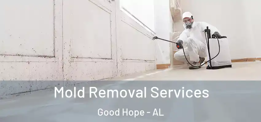Mold Removal Services Good Hope - AL