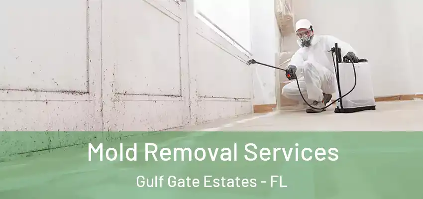 Mold Removal Services Gulf Gate Estates - FL