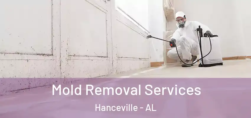 Mold Removal Services Hanceville - AL