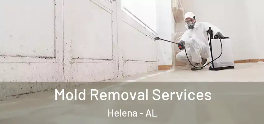 Mold Removal Services Helena - AL
