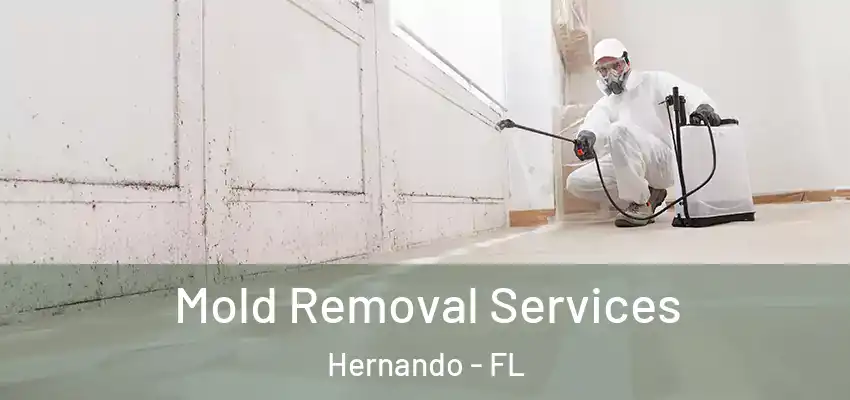 Mold Removal Services Hernando - FL