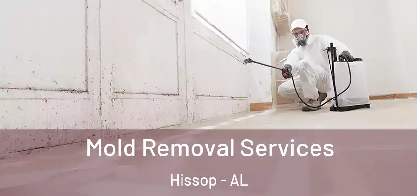 Mold Removal Services Hissop - AL