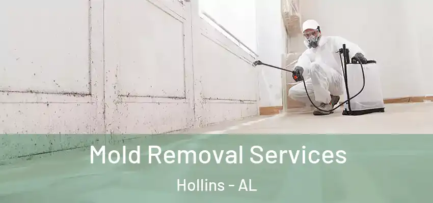  Mold Removal Services Hollins - AL