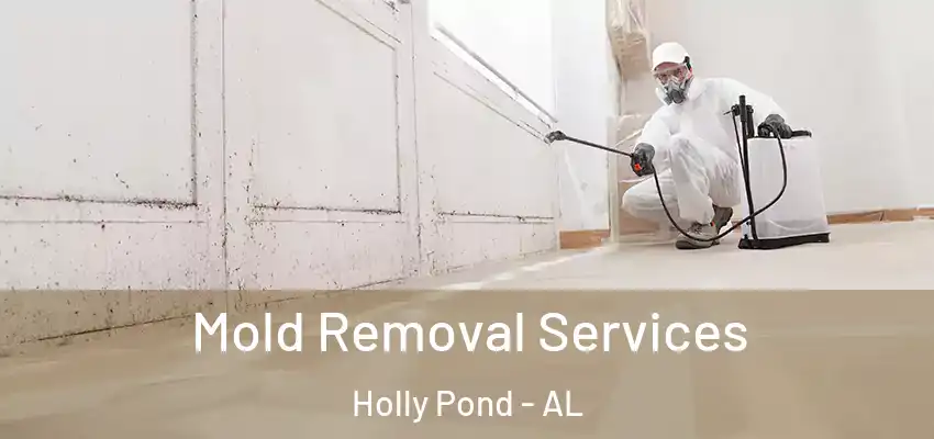 Mold Removal Services Holly Pond - AL