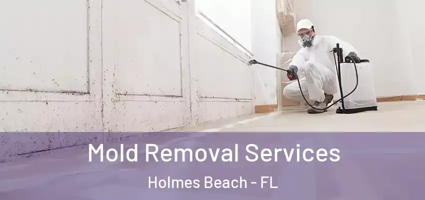 Mold Removal Services Holmes Beach - FL