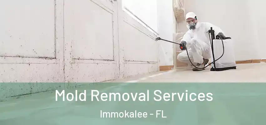  Mold Removal Services Immokalee - FL