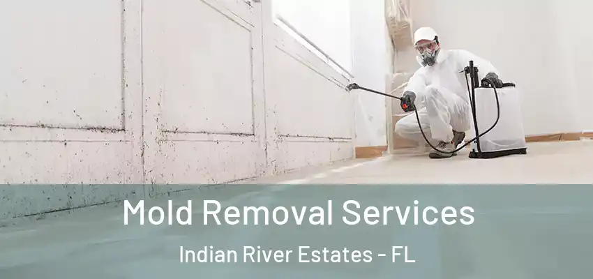 Mold Removal Services Indian River Estates - FL